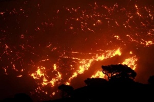 11 големи пожара обхванали Португалия