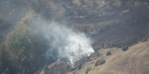 Пожар изпепели 100 дка гора в Смолянско