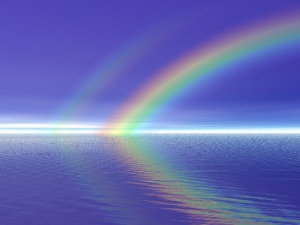 Мъжете и жените виждат цветовете различно