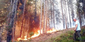 Голям пожар в Албания премина и в Македония