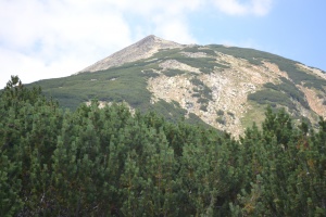 Втори ден търсят изчезнала туристка в Пирин