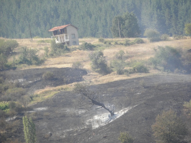 Пожарът край границата с Македония не стигна до гората
