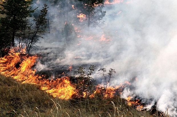 Голям пожар в Старозагорско, пламнаха дворове