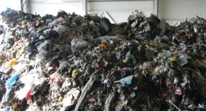 Търговските обекти започват да събират разделно отпадъците