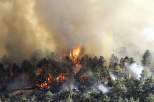 „Ал Кайда" била отговорна за горските пожари в Европа