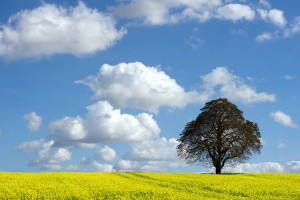 Горещият септември изравни рекорд за най-топъл в света