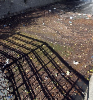 Тонове фекални води се изсипват на плажа във Варна