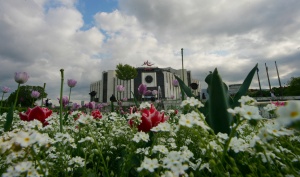 Скинари пребили 2 непълнолетни афганистанчета пред НДК