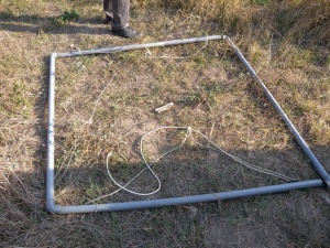 Антични монети и археологически ценности иззе ГДБОП при акция