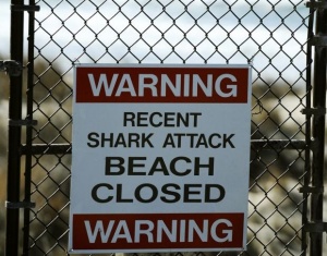 Акула уби сърфист в Калифорния