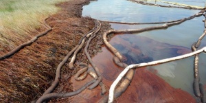 Процесът за екокатастрофата в Мексиканския залив започва февруари