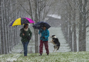 Зимата подрани на няколко места в Европа