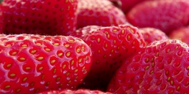 10 000 германчета натровени с китайски ягоди