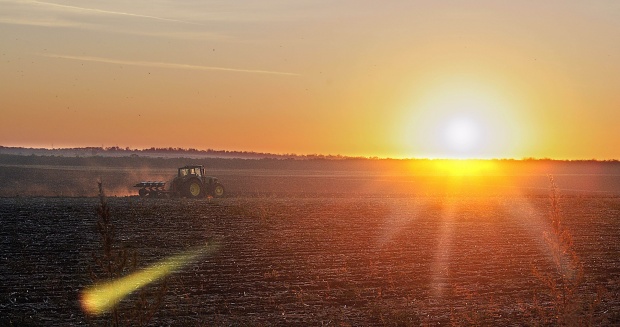 7,2 млн. декара земи ще раждат пшеница догодина