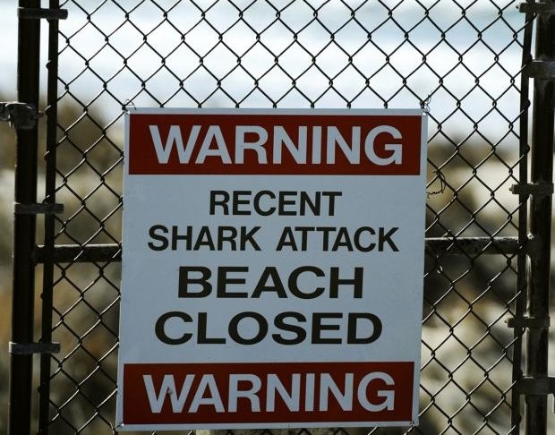 Акула уби сърфист в Калифорния