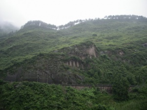 Труповете на 5 деца откриха в боклукчийски камион в Китай