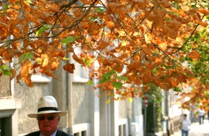 Затопляне с температури до 19 градуса от понеделник