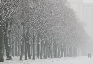 Обилен снеговалеж блокира Москва
