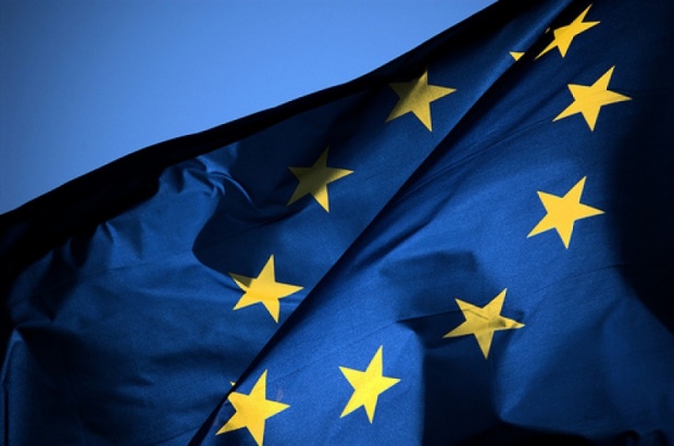 Оправдаха жената, нарязала знамето на ЕС