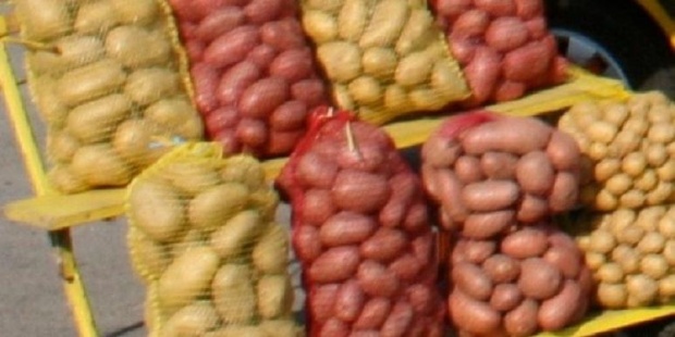БАБХ спря внос на 40 тона картофи от Полша
