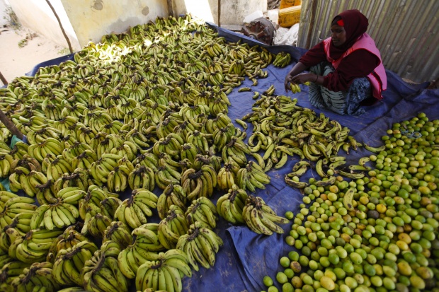ЕС сключи „бананов мир" с 10 латиноамерикански страни