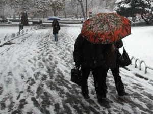 120 снегорина чистят София в първия снежен ден