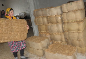 Обмислят създаване на борд „Тютюн"