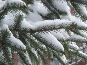 Мъгливо, но необичайно топло време във втория ден на Коледа