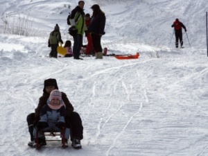 От „Витоша ски" искали високи такси от другите ски училища