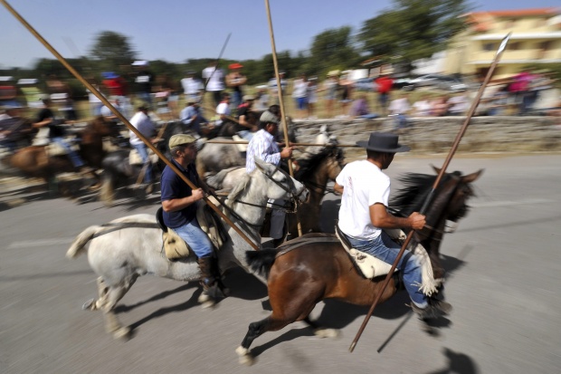 В Португалия избили 2800 коне заради кризата