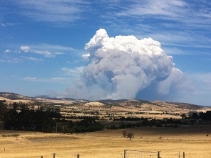 Силни ветрове, рекордни жеги и горски пожари мъчат Тасмания
