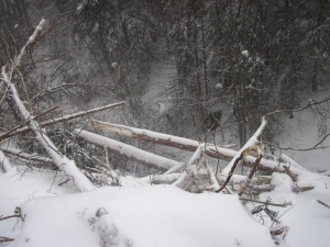 Четирима загинали в друга катастрофа на пътя Бяла - Русе
