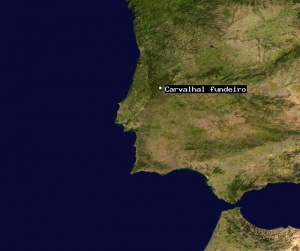 Автобус падна в дере в Португалия: 10 убити и 33 ранени