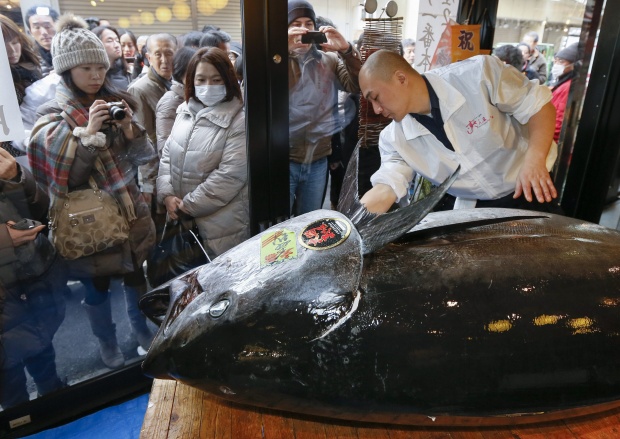 В Токио платиха 1,8 млн. долара за 222 кг риба тон