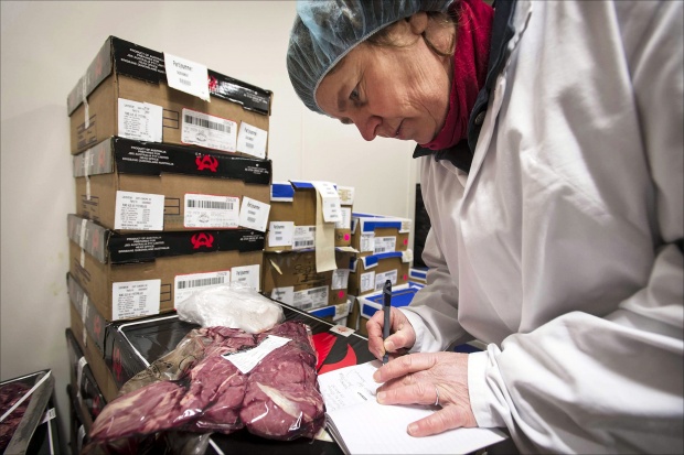Втори случай на необявено конско месо в Словения
