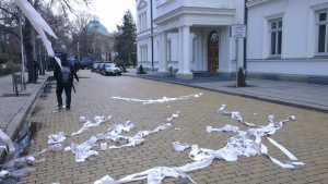 Протестиращи замерят парламента с памперси и тоалетна хартия