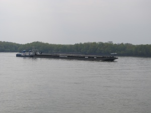 Нивото на Дунав се повишава, проверяват защитните диги край Видин