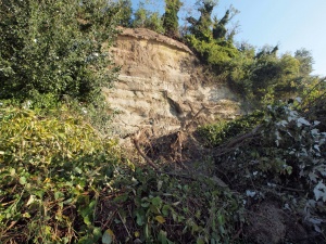 Сериозни щети след бурята в Копривщица