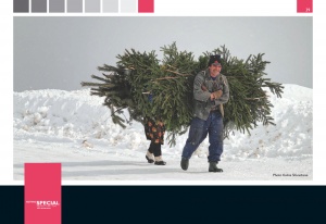 EК: Бедността в България е тревожна