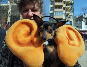 Мобилна техника за подслушване има в МВР, ДАНС и частни структури