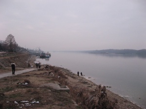 Нивото на Дунав се е повишило с 31 см.