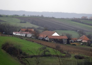 Национален траур в Сърбия