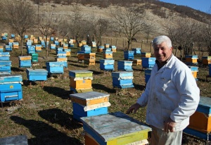 Пчелари на протест срещу използването на пестициди