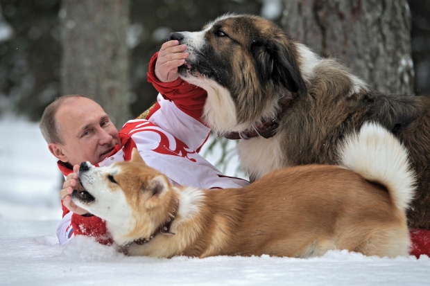 Путин се бори в снега с българската овчарка Бъфи