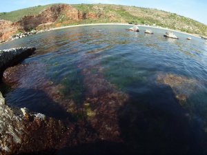 50 000 румънци почивали в България, а над 130 000 българи – в Гърция