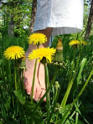 Напаст от кърлежи и комари нападна крайдунавските села