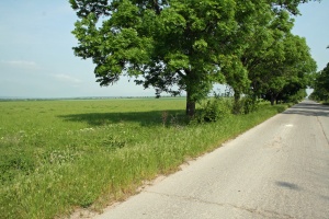 Сърбия връща наследствени земи на българи