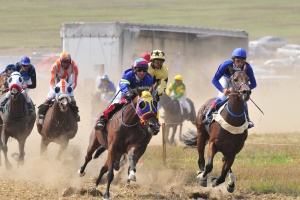 Коне за 5 милиона евро на Световната купа в Божурище