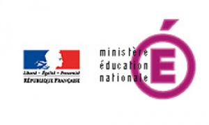 Разрешават на френски университети да водят курсове на английски?