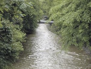 Труп на мъж изплува от Баненска река